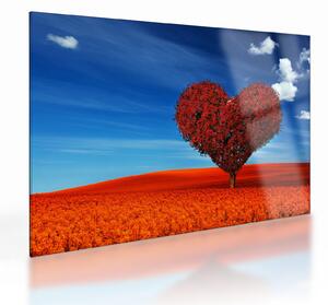 Skleněný obraz - Srdce ze stromu (70x50 cm)