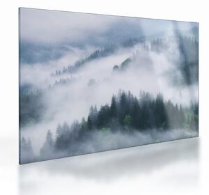 Skleněný obraz - Stromy v mlze (70x50 cm)