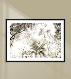 Plakát / Obraz Palma Pololesklý saténový papír A4 - 21 x 29,7 cm