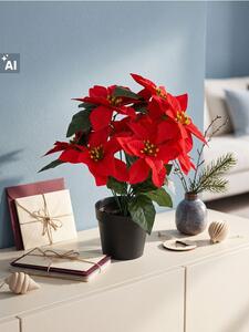 Sinsay - DECORATIVE PLANT - vícebarevná