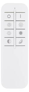 Globo 67387-60D - LED Stmívatelné stropní svítidlo LAUREL LED/60W/230V čirá+DO