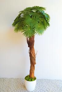Umělá washingtonská palma 120cm