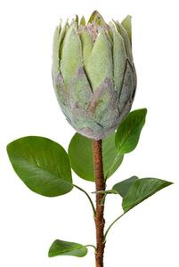 Umělá rostlina zelená protea – 65 cm