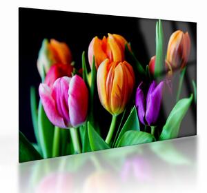 Skleněný obraz tulipánů na černém pozadí (70x50 cm)