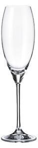 Crystalite Bohemia sklenice na šampaňské Carduelis 290 ml 2KS