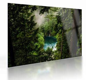 Skleněný obraz - Průzor mezi stromy (70x50 cm)