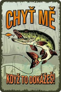 Postershop Plechová cedule: Chyť mě když to dokážeš - 20x30 cm