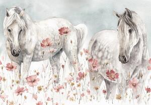 Postershop Fototapeta vliesová: Horses - 208x146 cm
