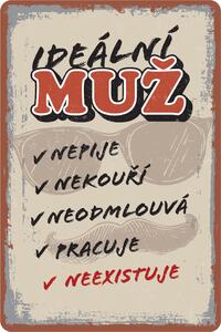 Postershop Plechová cedule: Ideální muž - 20x30 cm