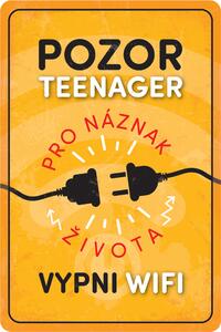 Postershop Plechová cedule: Pozor teenager - 20x30 cm