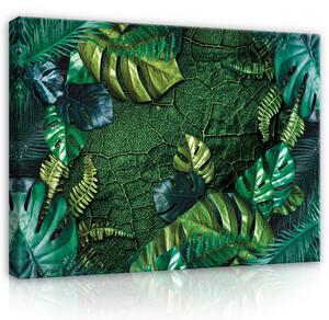 Postershop Obraz na plátně: Nature Leaves Dark Green Monsteras - 80x60 cm