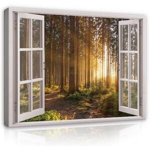 Postershop Obraz na plátně: 3D Effect Window Forest Sunshine View - 100x75 cm