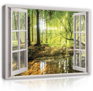 Postershop Obraz na plátně: Window - Forest - 100x75 cm