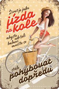 Postershop Plechová cedule: Život je jak jízda na kole - 20x30 cm