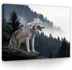 Postershop Obraz na plátně: Wild nature wolf forest - 80x60 cm