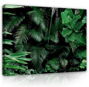Postershop Obraz na plátně: Nature Forest Rainforest Leaves - 80x60 cm
