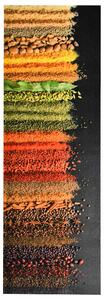 Kuchyňská rohožka pratelná Spice 45 x 150 cm 323475