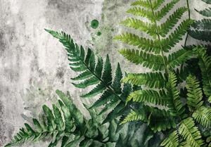 Postershop Fototapeta vliesová: Fern Leaves Structure - 208x146 cm