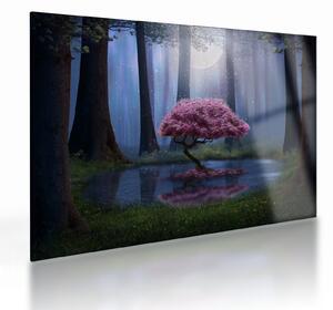 Skleněný obraz - Magická noc (70x50 cm)