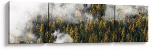 Obraz lesa v mracích (170x50 cm)