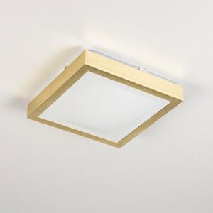 Koupelnové stropní svítidlo Trendline B1 Gold (Hranaté světlo do koupelny ve zlaté barvě, krytí IP44)