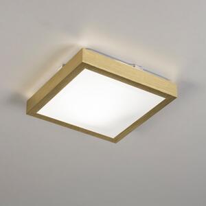 Koupelnové stropní svítidlo Trendline B1 Gold (LMD)