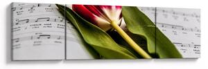 Obraz červeného tulipánu (170x50 cm)