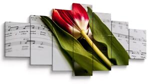 Obraz červeného tulipánu (210x100 cm)