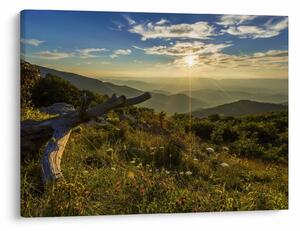 Obraz - Výhled do okolí (70x50 cm)