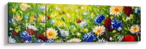 Obraz divokých květin (170x50 cm)