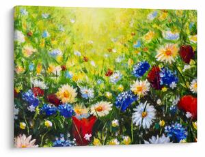 Obraz divokých květin (70x50 cm)