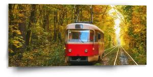 Sablio Obraz Červená tramvaj v lese - 110x50 cm