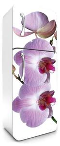 Samolepící tapety na lednici, rozměr 180 cm x 65 cm, fialová orchidej, DIMEX FR-180-024
