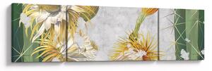 Obraz - Rozkvetlé kaktusy, vintage (170x50 cm)