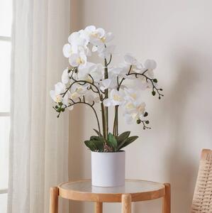 Eglo 428024 - Umělá rostlina v květináči HYUGA 65x50 cm orchidej