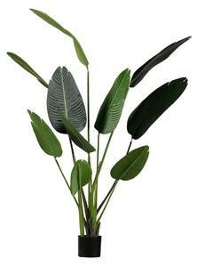 WOOOD Umělá dekorativní rostlina Strelitzia 164 cm