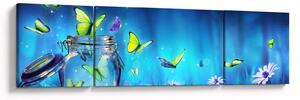 Obraz - Volnost (170x50 cm)