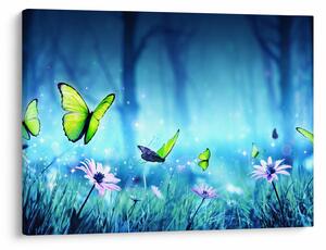 Obraz - Mystická lesní mýtina (70x50 cm)
