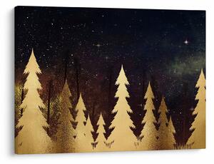 Obraz - Zlatá noc (70x50 cm)