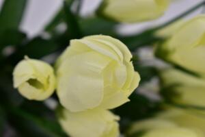 Umělá kytice krokus bílá 34 cm