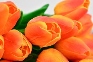 Kytice 7 tulipánů 34,5 cm, oranžová