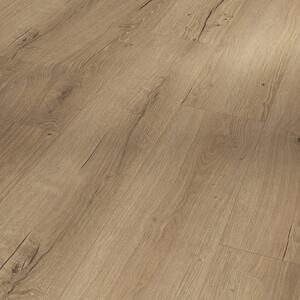 Parador Basic 5.3 - Dub Cambridge natural 1748825 2,176 m²