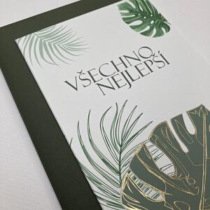 Spring Studio Blahopřání Monstera