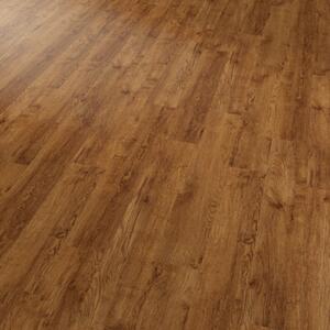 Brased Conceptline 30115 Dub rustikal zlatý 3,34 m²