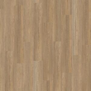 Objectflor Expona Clic 19 dB 9036 Treehouse Oak 2,14 m²