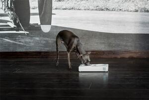 Bowl&Bone Republic Luxusní miska pro psa Ceramic Duo bílá VELIKOST: S - 27,5x14,5x5cm (0,23l)