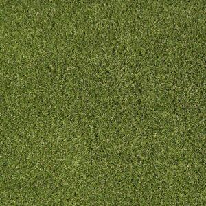 Travní koberec EASY LAWN DAISY šíře 2 m 2 m²