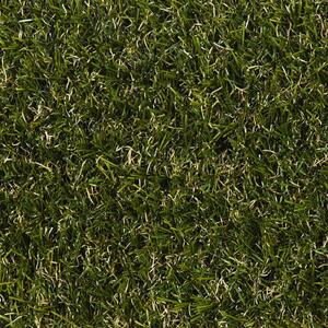 Travní koberec EASY LAWN BOTANIC šíře 2 m 2 m²