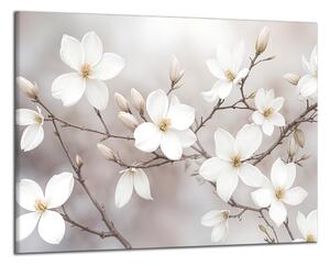 Obraz na plátně Rozkvetlé bíle květy