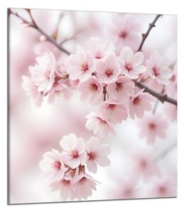 Obraz na plátně Květy třešně